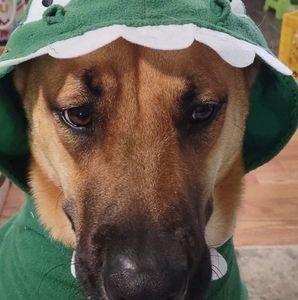 Meet your Posher, Timothy